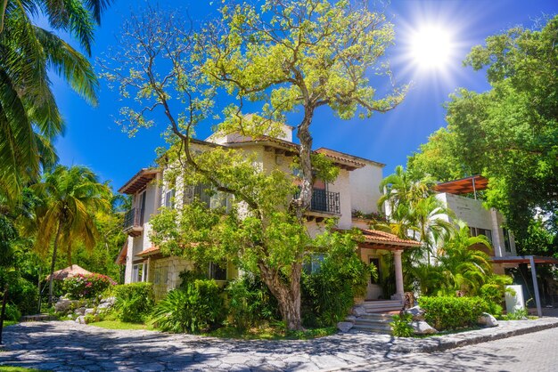 Luxury authentic historical villa in shadow of trees in Playa del Carmen Yukatan Mexico