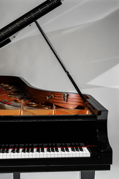 Luxury grand piano with open lid