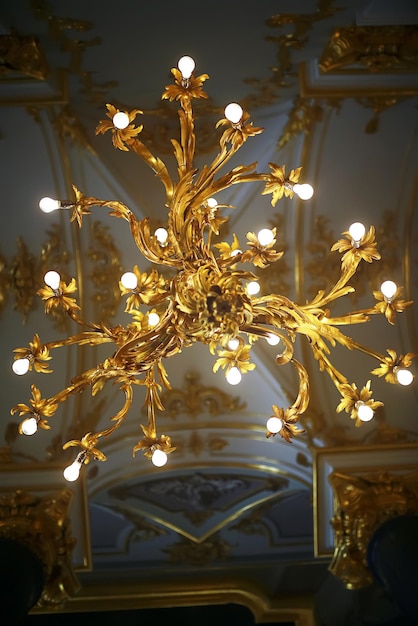 Luxury Interior in the Peterhof