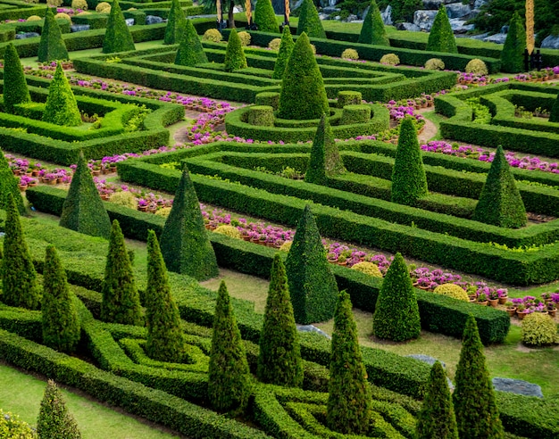 Architettura del paesaggio di lusso del giardino tropicale