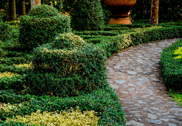 Luxury landscape design of the tropical garden.