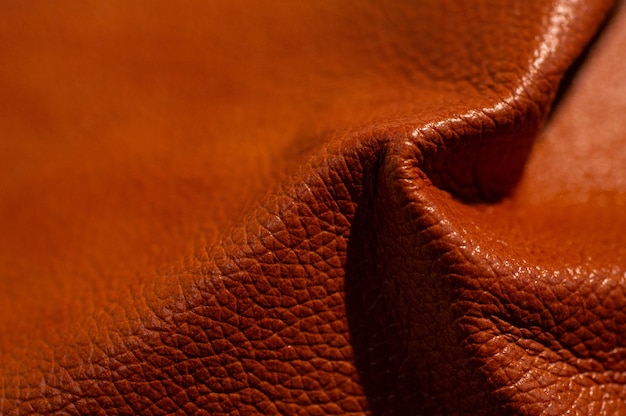 Luxury leather samples close-up