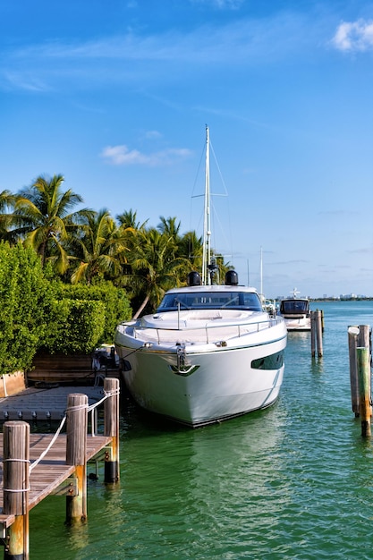 Luxury private yacht in miami port with palm trees