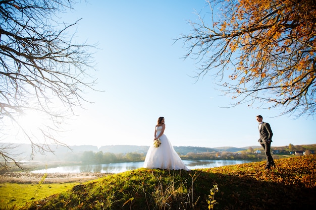 Luxury stylish young bride and groom on the background spring sunny green forest