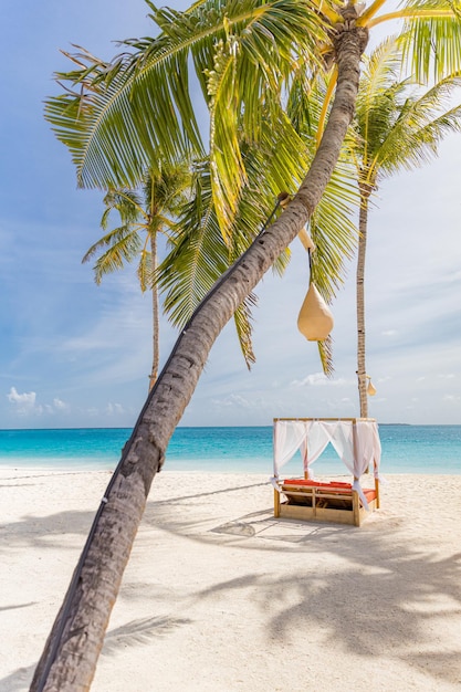 Luxury summer beach scene. Sun loungers, umbrellas under palm trees, relaxing vacation and holiday