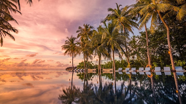 Luxury sunset over infinity pool. Summer beachfront resort, wellness spa tropical retreat palm trees