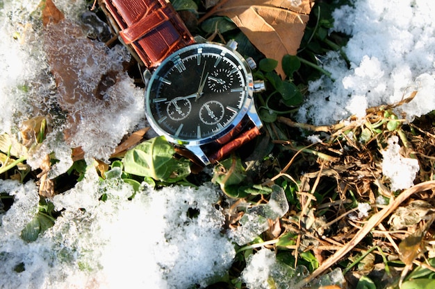 Luxury Wristwatch in Snow