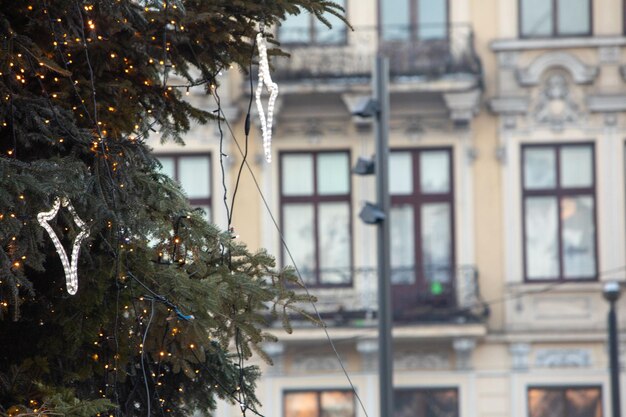 Lviv stad kerstboom close-up