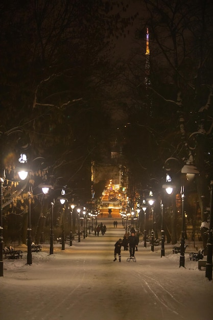 Lviv Ukraine January 8 2019 view of snowed winter city park