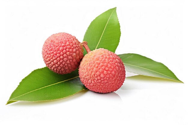lychee or chinese plum with leaves on white background