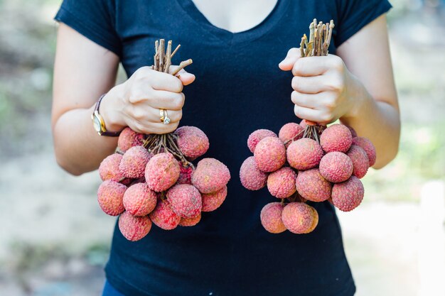 Photo lychee on hand