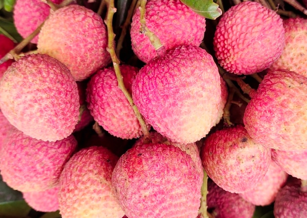 lychee photo