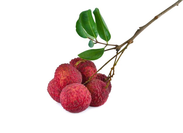 Lychees isolated on white background