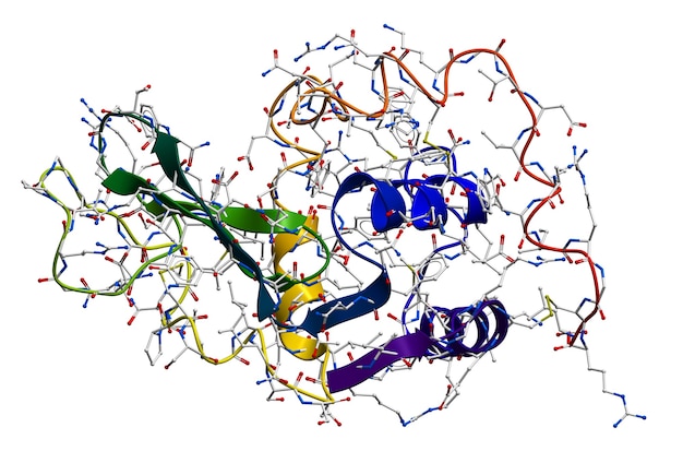 Lysozyme, het natuurlijke antibacteriële enzym in speeksel, melk, slijm, tranen, eiwit enzovoort