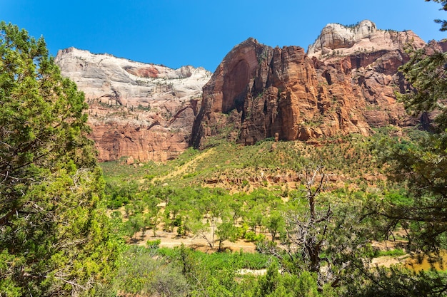 Maagdelijke natuur paniramisch uitzicht op Zion National Park