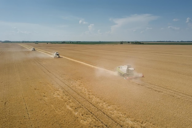 Maaidorser bezig met een tarweveld. Maaidorser Luchtfoto.