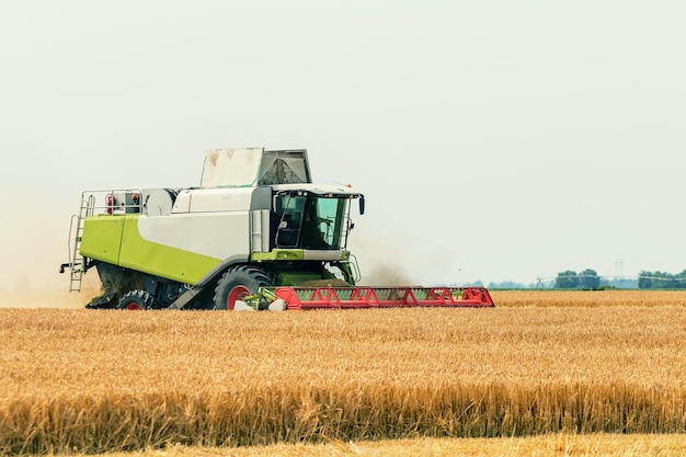 Maaidorser bezig met een tarweveld. Tarwe oogsten.