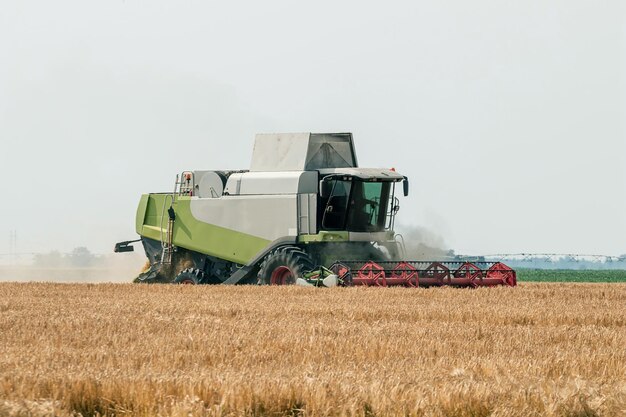 Maaidorser bezig met een tarweveld. Tarwe oogsten.