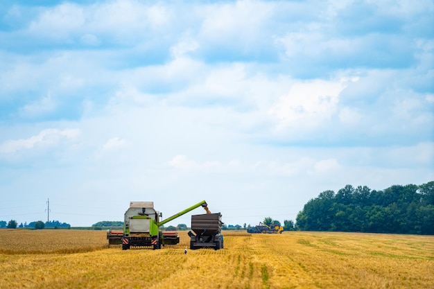 Maaidorser in actie op het veld Maaidorser Oogstmachine voor het oogsten van een tarweveldconcept