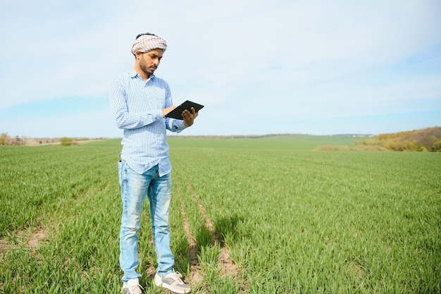 maak je minder zorgen over de Indiase boer die in zijn gezonde tarweveld staat