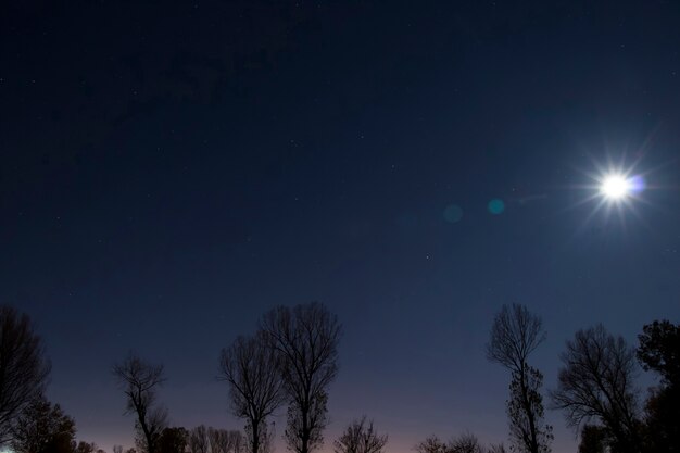 Maan en sterren in de nacht