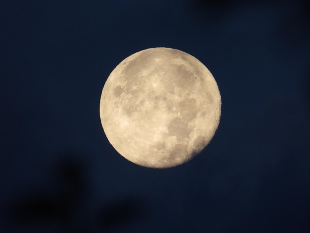 Maan op de achtergrond van bladeren en wolken