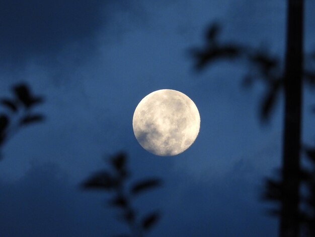 Maan op de achtergrond van bladeren en wolken