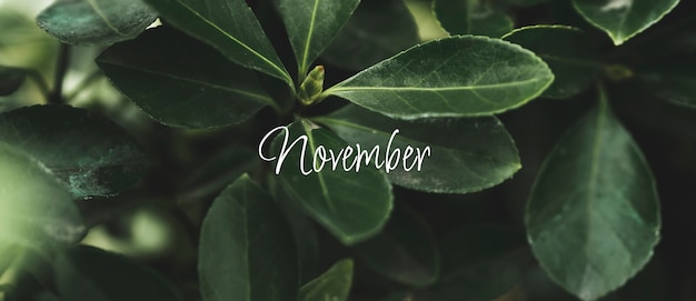 Maand november collage