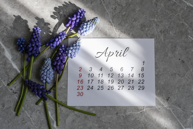 Maart-kalender en roze bloemen in de lentezon