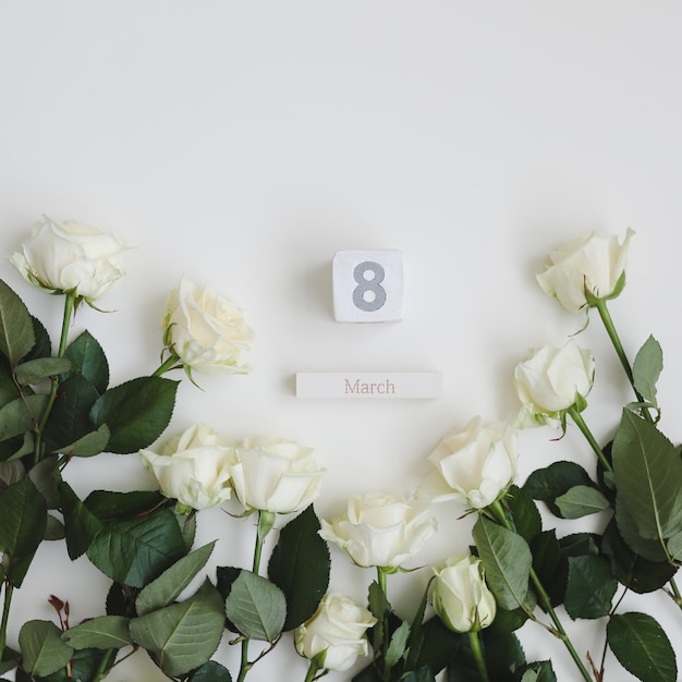 maart vrouw dag achtergrond met witte rozen en plaats voor tekst op witte achtergrond bovenaanzicht