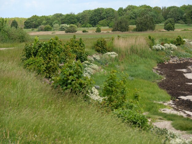 Foto maasholm bij de rivier de schlei