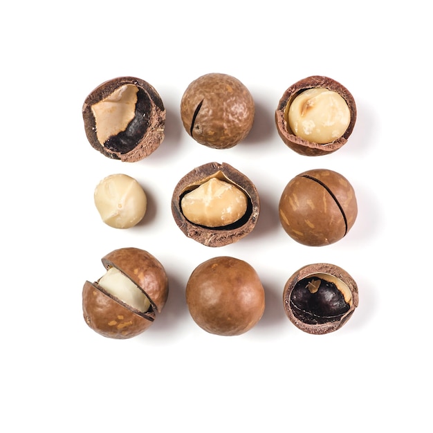 macadamia isolated on white top view