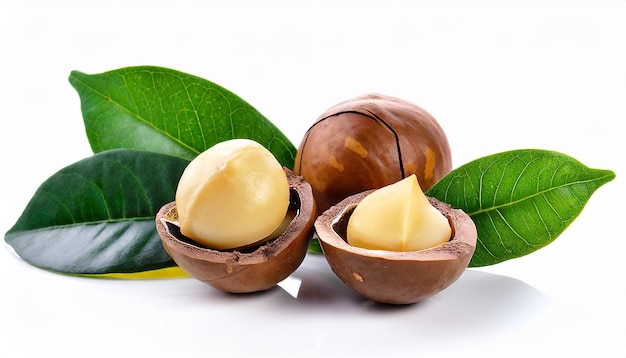 Photo macadamia kernel with leaves on white background