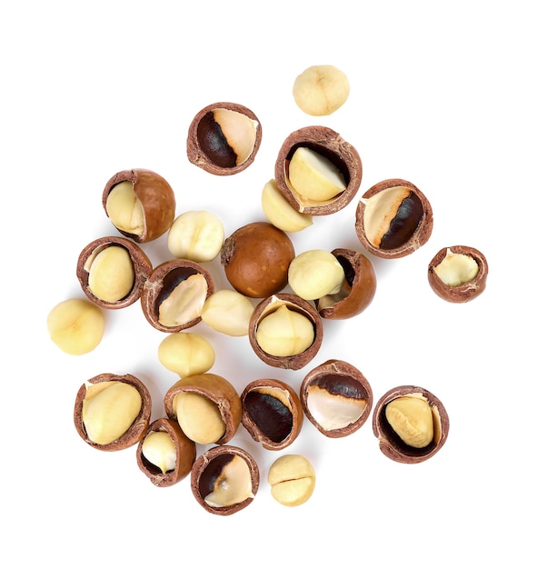 Macadamia nut isolate on white background.top view