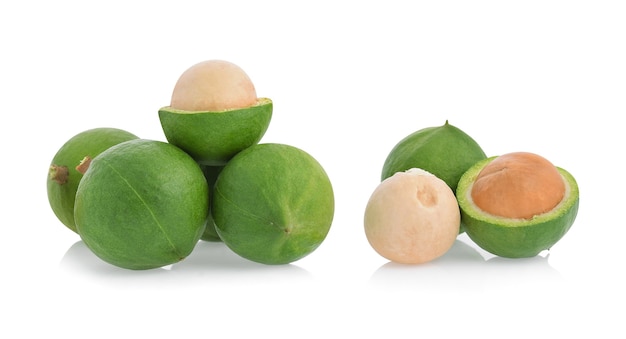 Macadamia nut isolated on white background.