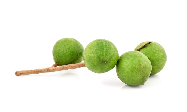 Macadamia nut isolated on white background