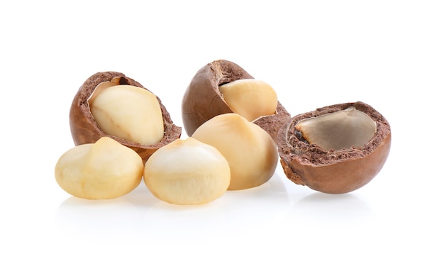 Photo macadamia nut on white background