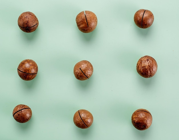 Macadamia nuts are laid out in rows on a mint background