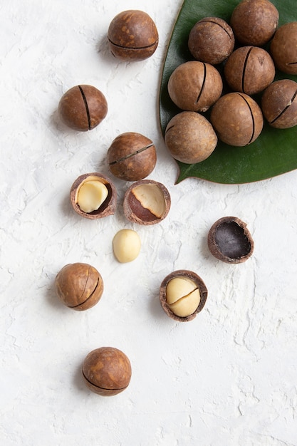 Macadamia nuts on bright surface