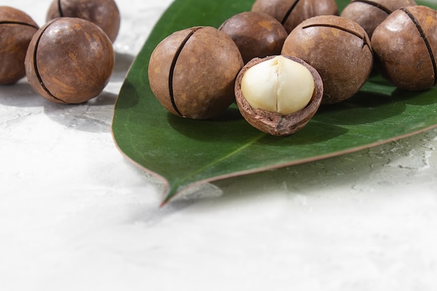 Macadamia nuts on bright surface