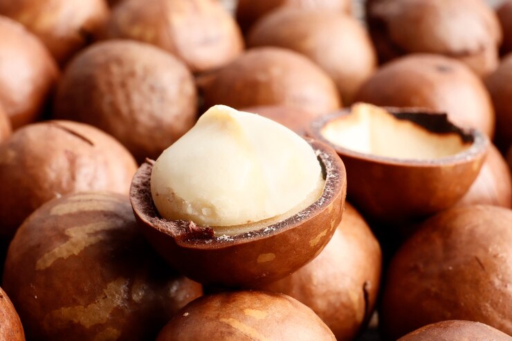 Photo macadamia nuts closeup