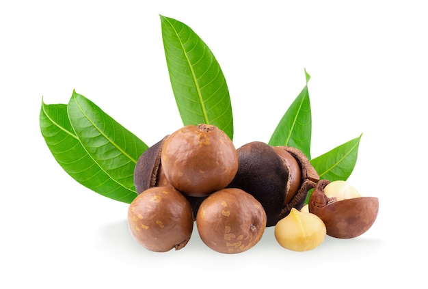 Photo macadamia nuts isolated on a white background