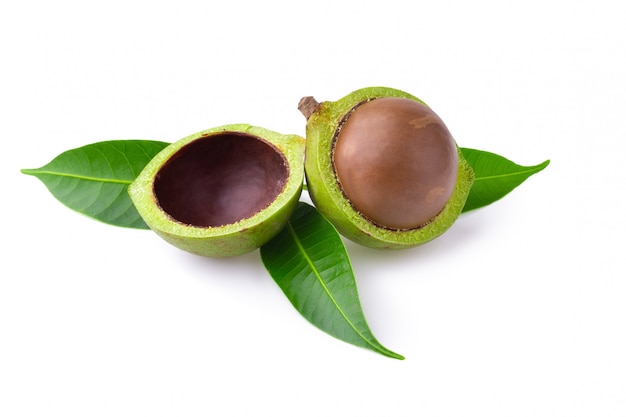 Macadamia nuts isolated on a white background