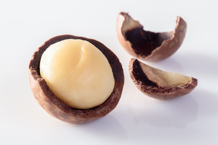 Photo macadamia nuts isolated on white background.