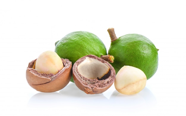 Macadamia nuts isolated on White surface.