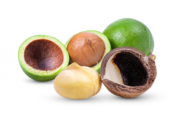 Photo macadamia nuts isolated on white