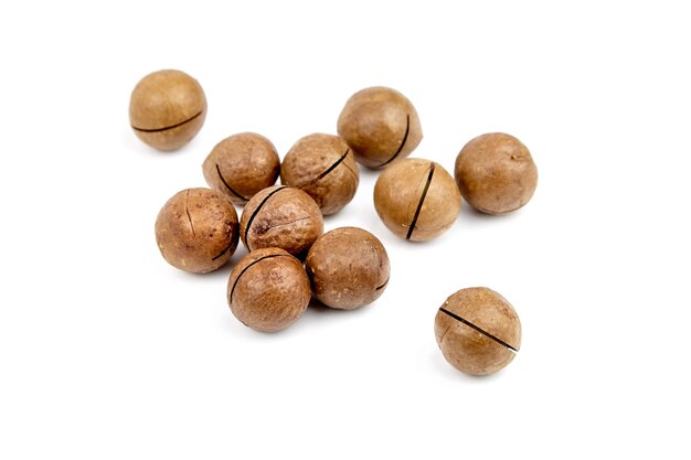 Macadamia nuts roasted in shell isolated