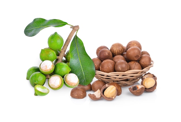 Macadamia nuts on white wall