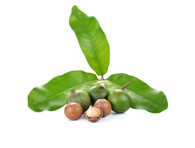 Noci di macadamia su bianco