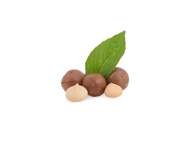 Macadamia with leaves on white surface